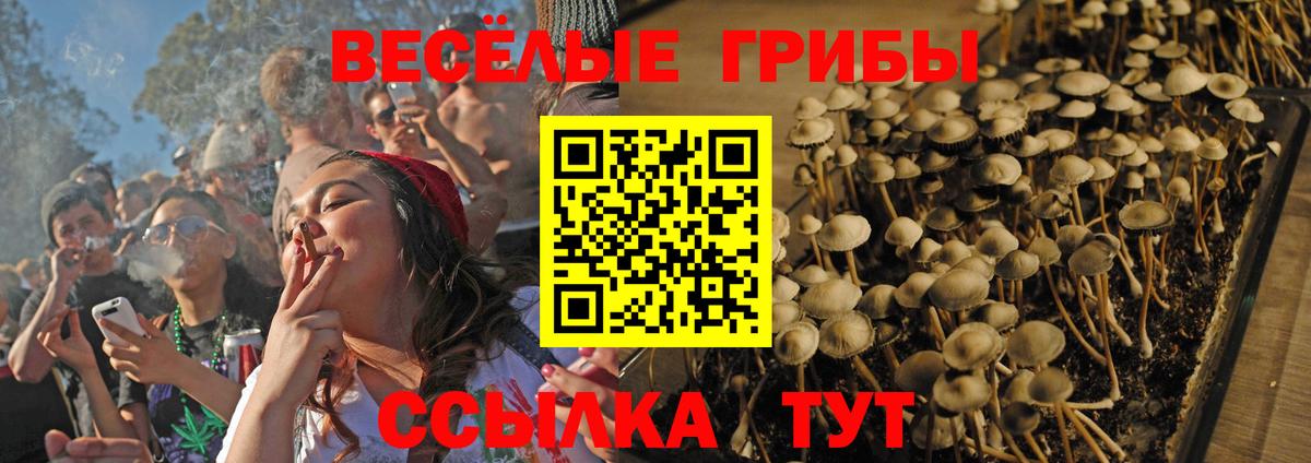 Псилоцибиновые грибы GOLDEN TEACHER  Вход с VPN  Новокубанск 